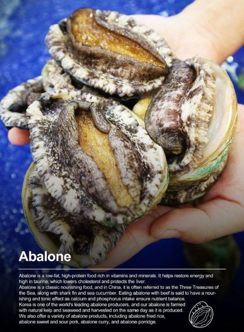 Frozen Abalone (With shell / Half shell / Meat / Processed food)